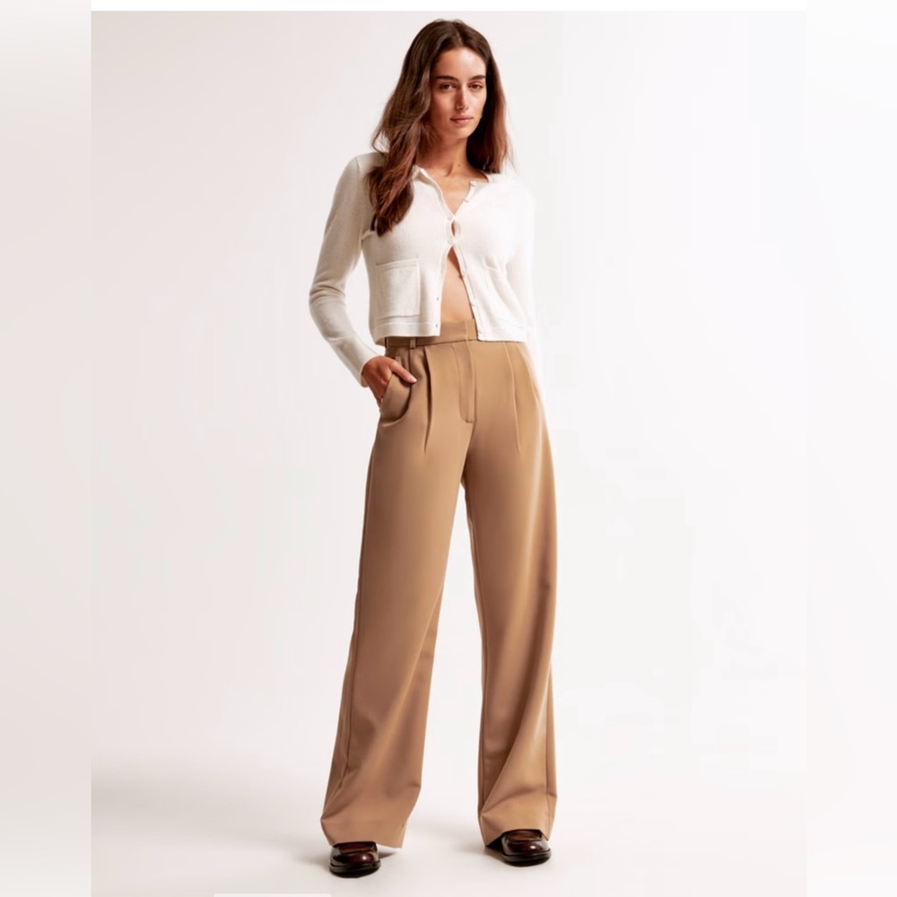 Abercrombie Sloane Brown Tailored Wide-Leg Pants - Size 28R